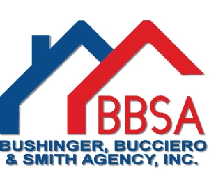 BBSA Logo